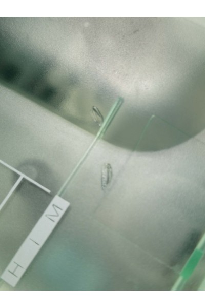 Walkman Trussardi Light Him από το Αντρικό Άρωμα
