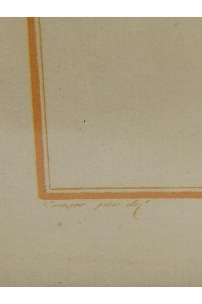 Vintage Κάδρο με Ψάρι Kyrtus Indicus (Kurtus indicus)