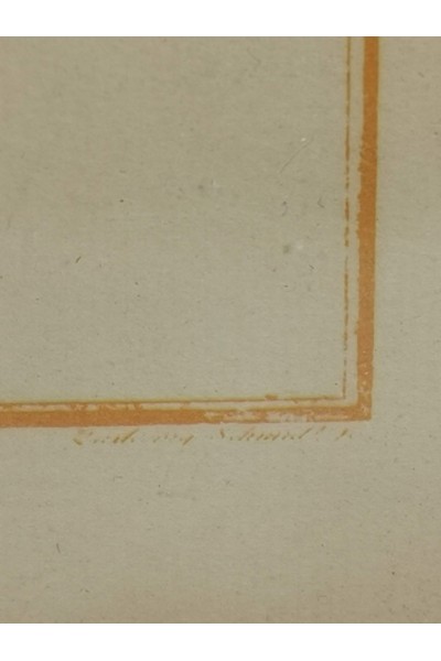 Vintage Κάδρο με Ψάρι Kyrtus Indicus (Kurtus indicus)