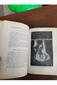 Βιβλίο WA-DO Oι Στιγμιαίες Κινήσεις της Ευεξίας Εκδόσεις Εξάντας